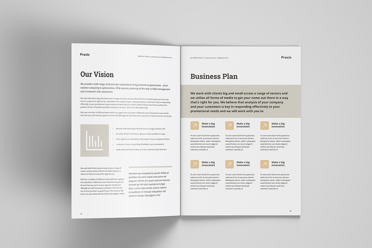 White Paper Indesign, a Brochure Template by azadcsstune (Photo 8 of 8)
