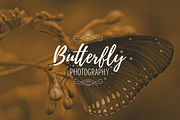 Luxurious Creator -50% off, a Branding & Logo Template by VP Fonts (Thumbnail 9 of 17)