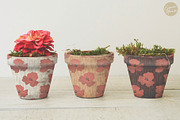 Painted Floral Patterns - The Poppy, a Pattern Graphic by Euonia Meraki (Thumbnail 7 of 10)