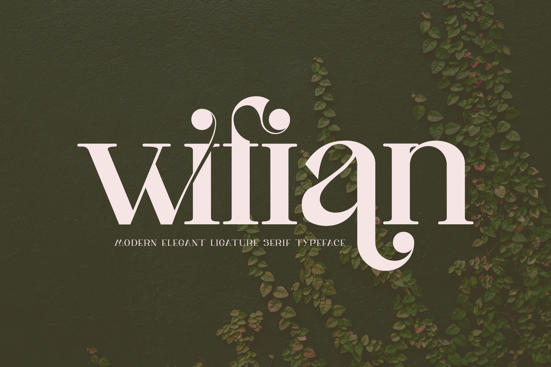 wifian Ligature Serif Typeface | Serif Fonts ~ Creative Market