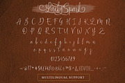 Lucky Spark Script, a Script Font by Letterhend Studio (Thumbnail 9 of 10)