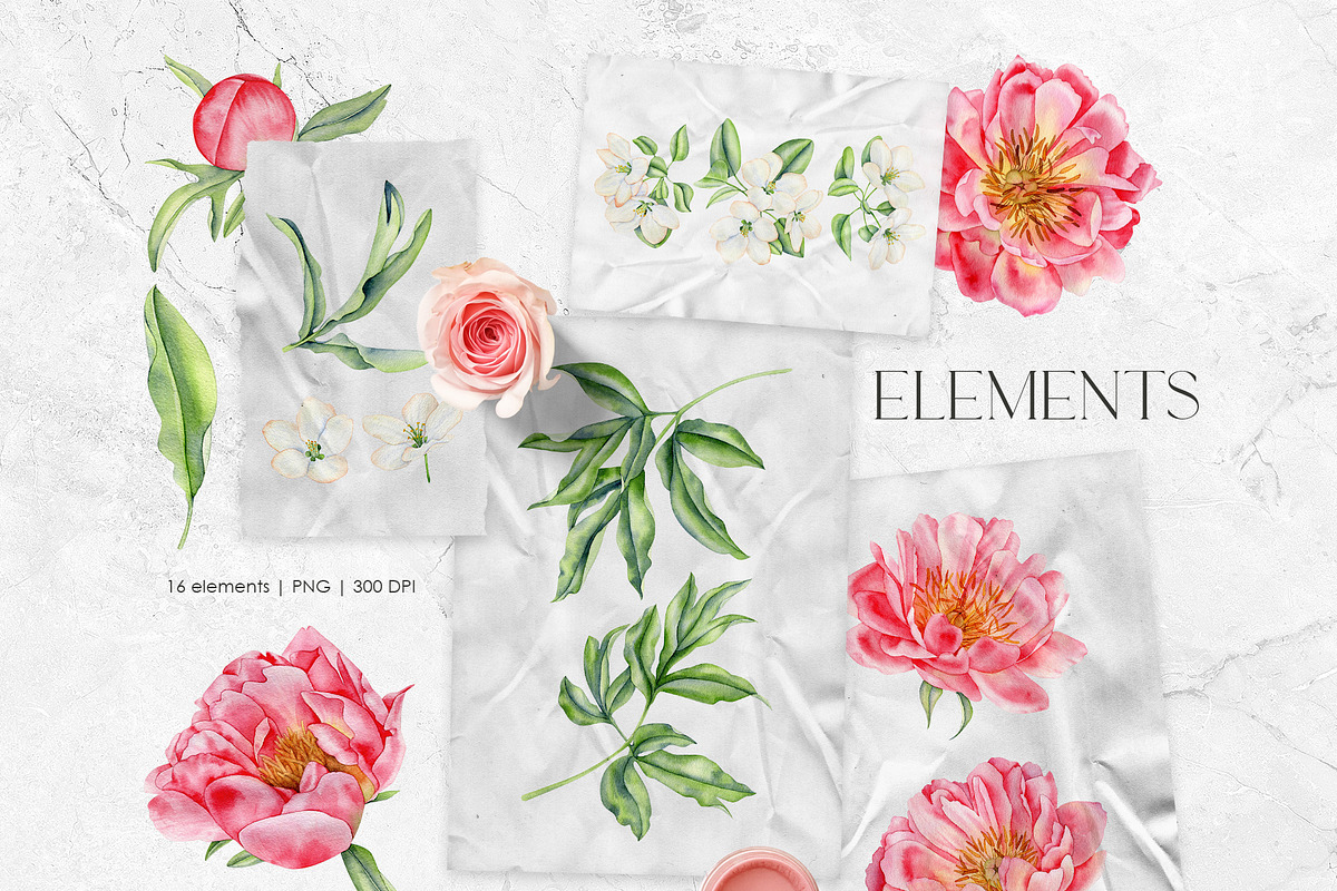 Peonies - Watercolor Collection, an Illustration by PatrushevaYana (Photo 3 of 9)