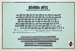 The Benoda BIG! Bundle Bundle