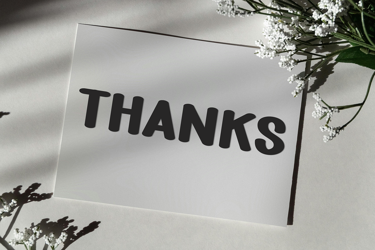 Bird Nest, a Script Font by FreshTypeINK (Photo 7 of 8)