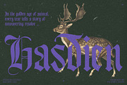 Bageshron Blackletter Font Family, a Blackletter Font by Enxyclo Studio (Thumbnail 15 of 27)