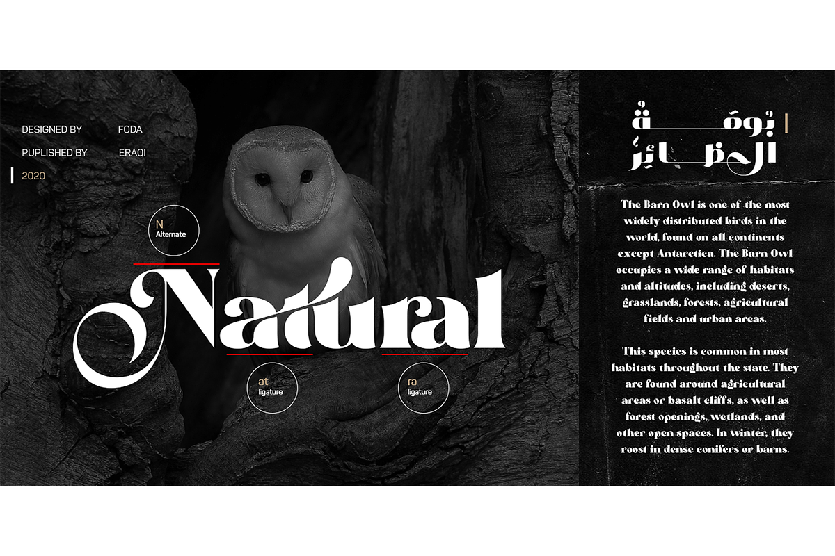Stazin Font, a Font by Foda Foundry (Photo 10 of 11)
