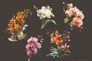 Watercolor Orchid Flowers