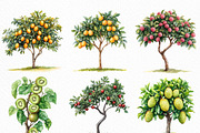 Watercolor Fruit Trees Clipart, an Illustration by Craft Nest (Thumbnail 5 of 6)