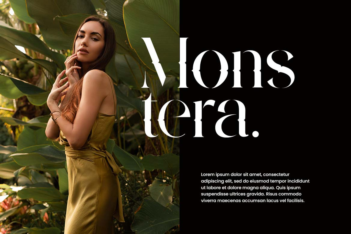 Zamoneva Elegant Serif Display Font, a Serif Font by UICreative (Photo 5 of 13)