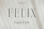 Felix - Condensed Display Serif Font, a Serif Font by Studio Aurora (Thumbnail 1 of 10)