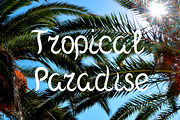 Mantra Font, a Script Font by Elena Lux (Thumbnail 3 of 5)