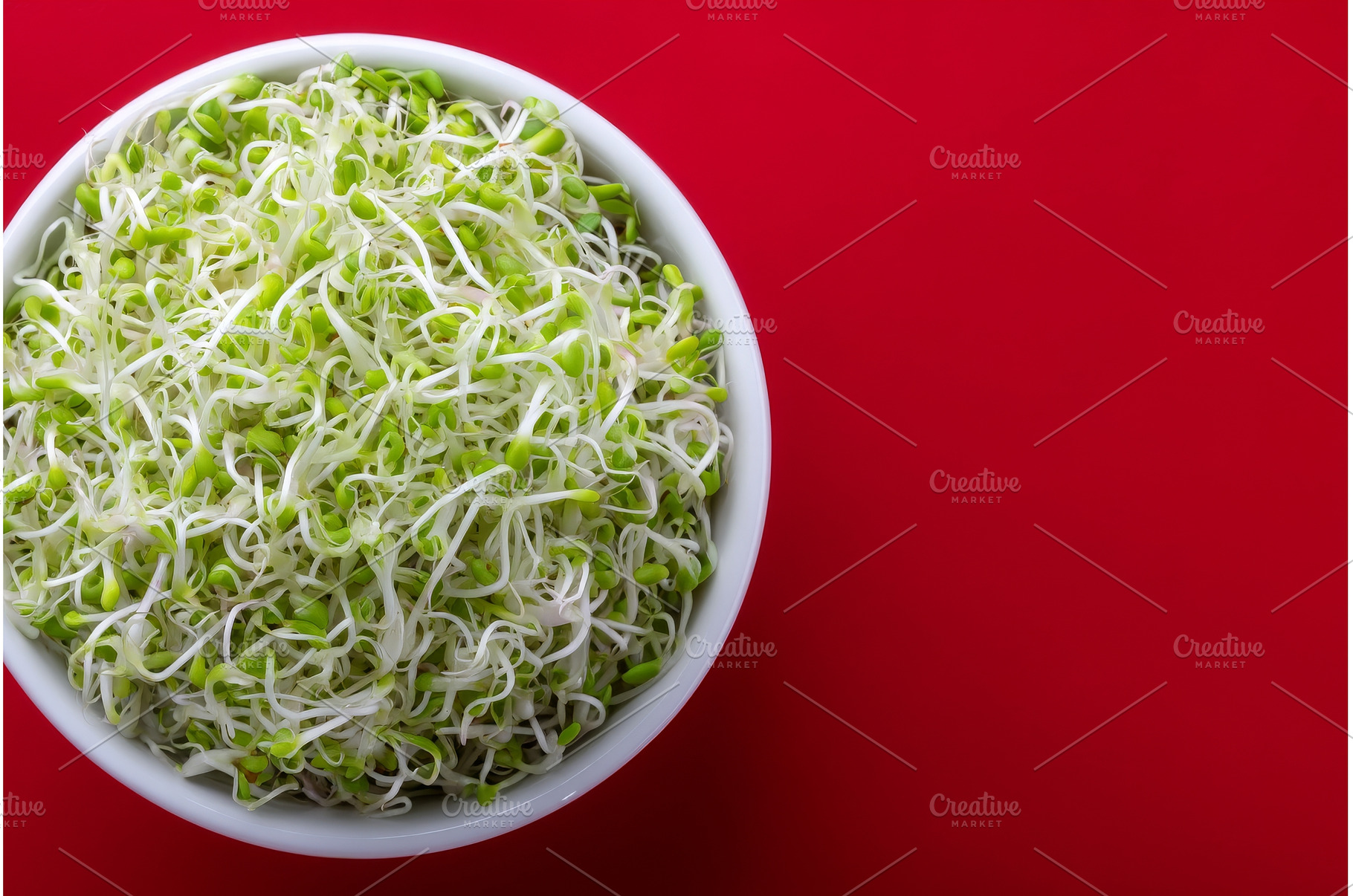 microgreen mustard or radish herb, a Food & Drink Photo by ZinetroN