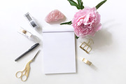 Pink Blossom Flatlay and Writing Pad, a Photo by Yolo Berlin (Thumbnail 1 of 2)