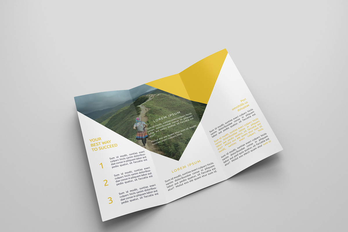 6 Travel  Tri Fold Bochures, a Brochure Template by Creatricks (Photo 3 of 13)