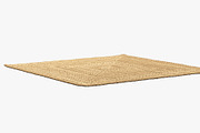 Dina Coastal Jute Rug Square, a Furniture 3D Model by 3dmitruk (Thumbnail 6 of 15)
