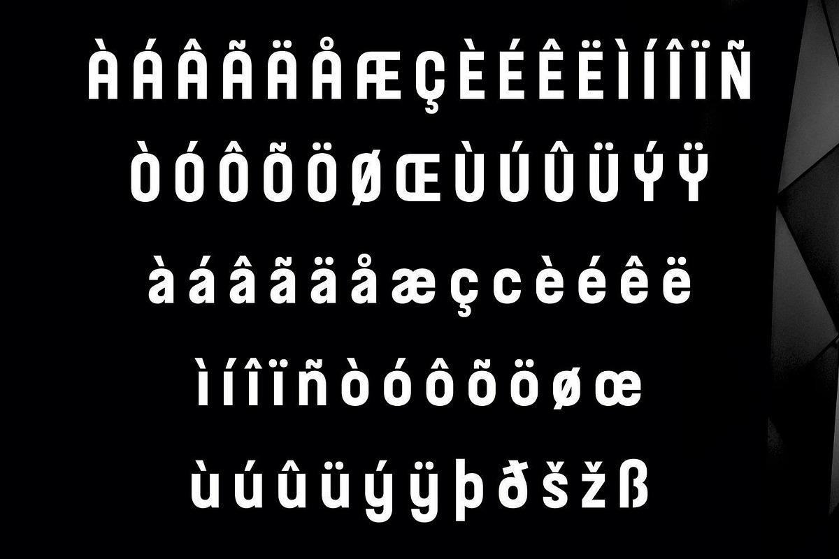 Rockgym - Condensed Font, a Sans Serif Font by Umitype (Photo 3 of 10)