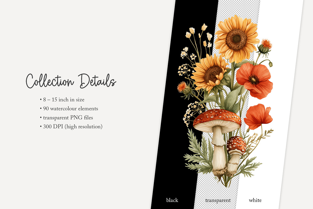 100 autumn mushroom clip art, a Seasonal Illustration by Poppy Lane Studio (Photo 11 of 11)
