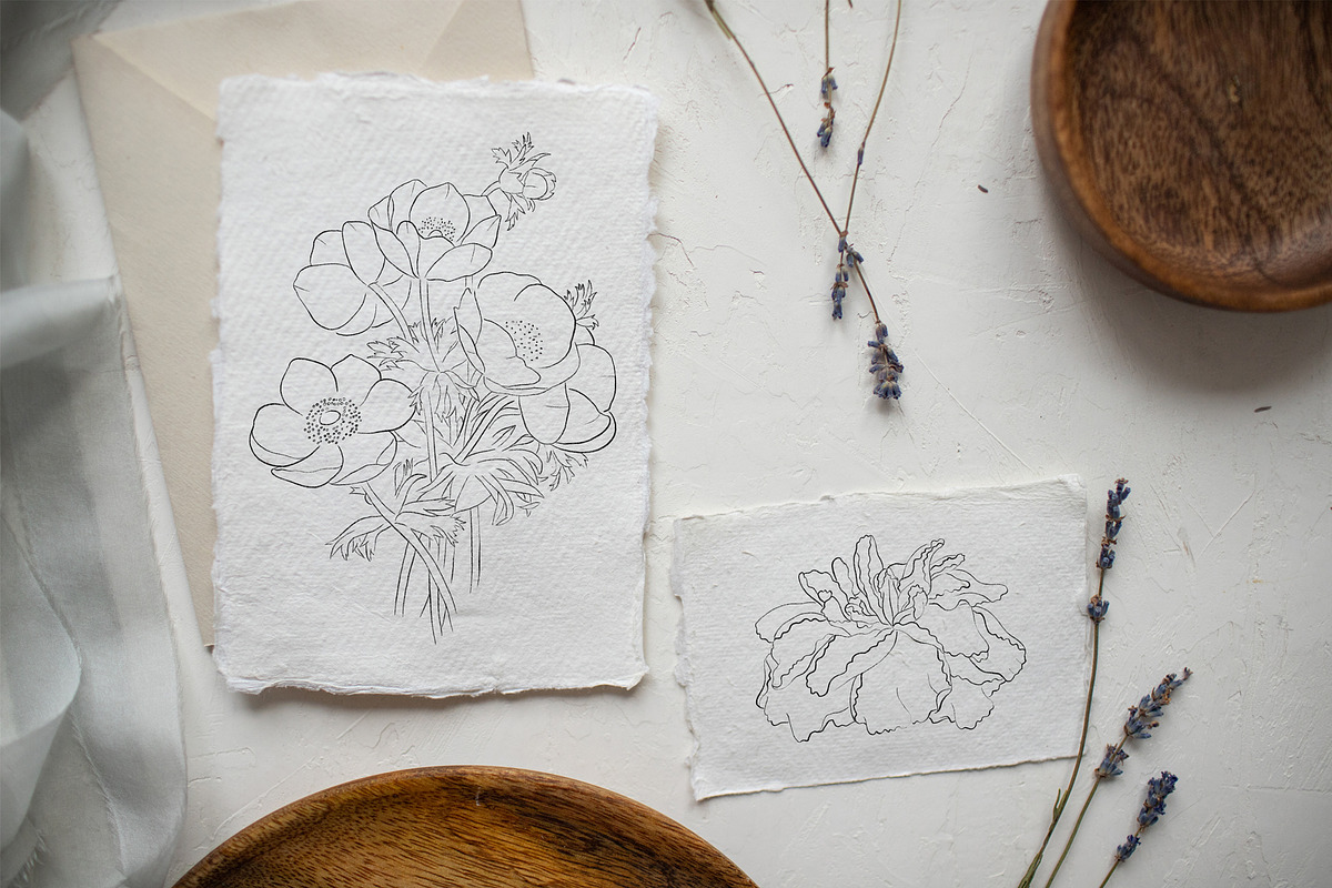 Flowers Line Arts Clipart, an Illustration by natalisart (Photo 3 of 11)