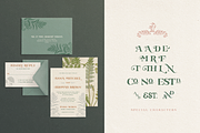 Falconette Font, a Font by Antiquaria (Thumbnail 7 of 7)