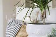 Holistic Lifestyle Bundle (Green), a Health & Medical Photo by Wellness Stock Market (Thumbnail 27 of 37)