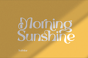 Saltstar Font, a Sans Serif Font by Grontype (Thumbnail 4 of 12)