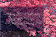 Demila Font, a Script Font by SophieSaxo (Thumbnail 3 of 7)