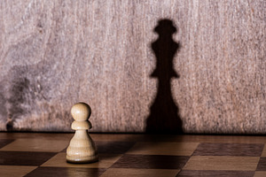 Chess pawn with queen shadow on ches, a School & Education Photo by Volff