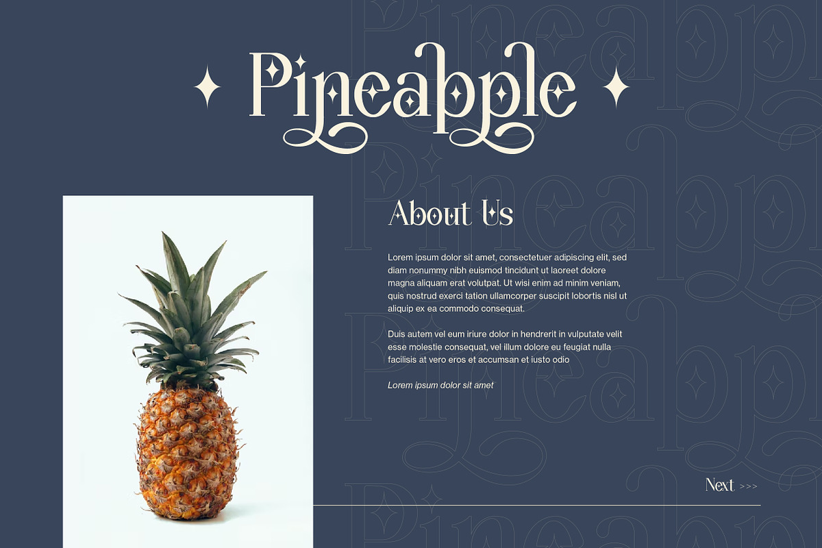 Wondernesia Nostalgic & Modern Serif, a Serif Font by Lettertype Studio (Photo 11 of 15)