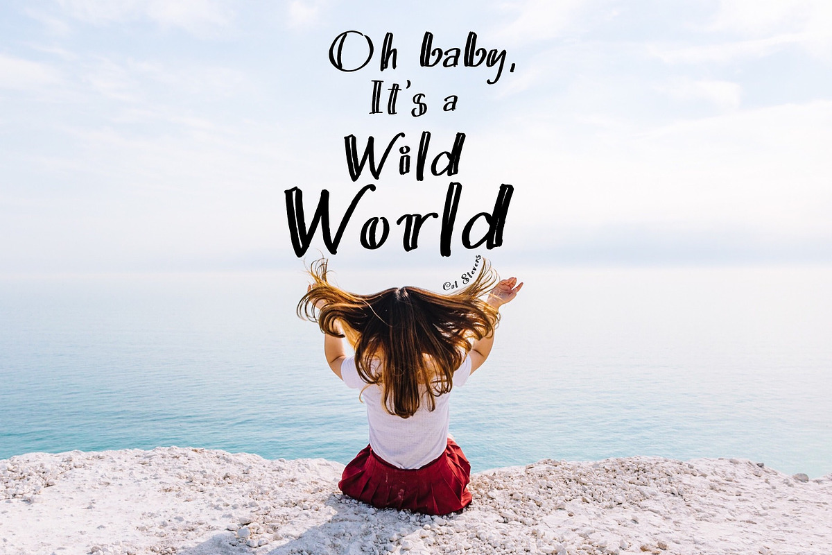 The Hunter, a Handwritten Font by Artstudio (Photo 5 of 5)