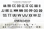 Yesterday Beautiful, a Script Font by InermediaSTUDIO (Thumbnail 4 of 8)