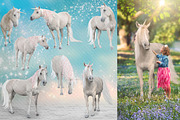7 - Real Unicorn PNGs - Collection, an Object Graphic by DareToDream (Thumbnail 2 of 3)