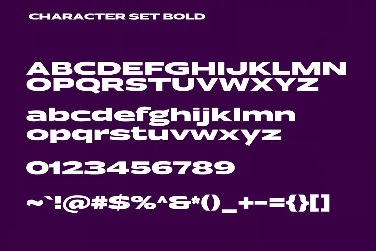 Hogly Extended Sans Serif Font, a Sans Serif Font by MACK 75 (Photo 5 of 10)