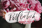 100 Paint Brush Stamps for Procreate, a Brush Add-On by Creator Goodies (Thumbnail 8 of 14)