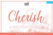 Cherish Modern Script Font Set, a Script Font by TrimStudio (Thumbnail 1 of 11)