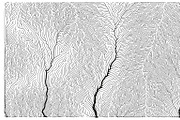 Growth - 50 Backgrounds, a Texture Graphic by GarryKillian (Thumbnail 20 of 51)