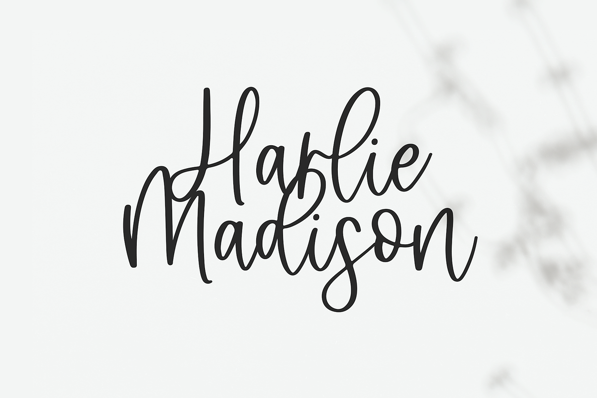 Maybird | Handwritten Script Font, a Script Font by KA Designs (Photo 6 of 9)
