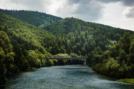 Summer landscape with mountain river running among hills covered, a Nature Photo by Daria Photo