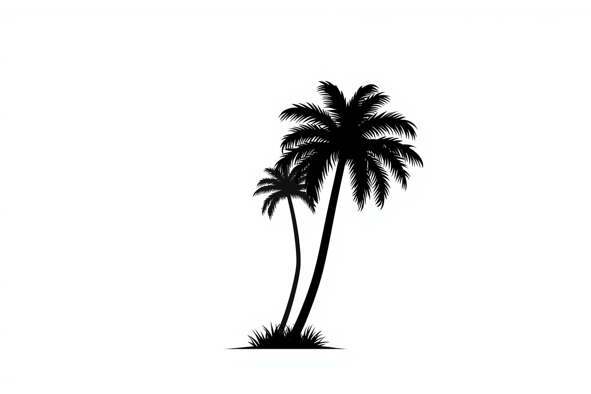 Tropical Palm Tree Bundle, an Illustration by BIPLOB EXPERT (Photo 9 of 21)
