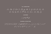 Pellegrie Signature - Script, a Script Font by Krakenbox Studio (Thumbnail 10 of 12)