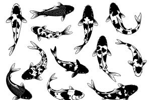 Collection of koi fish. Pet., an Animal Illustration by yod67