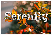 Nafisyah Slab - 9 Layered Font, a Slab Serif Font by Aktab Studio (Thumbnail 12 of 15)