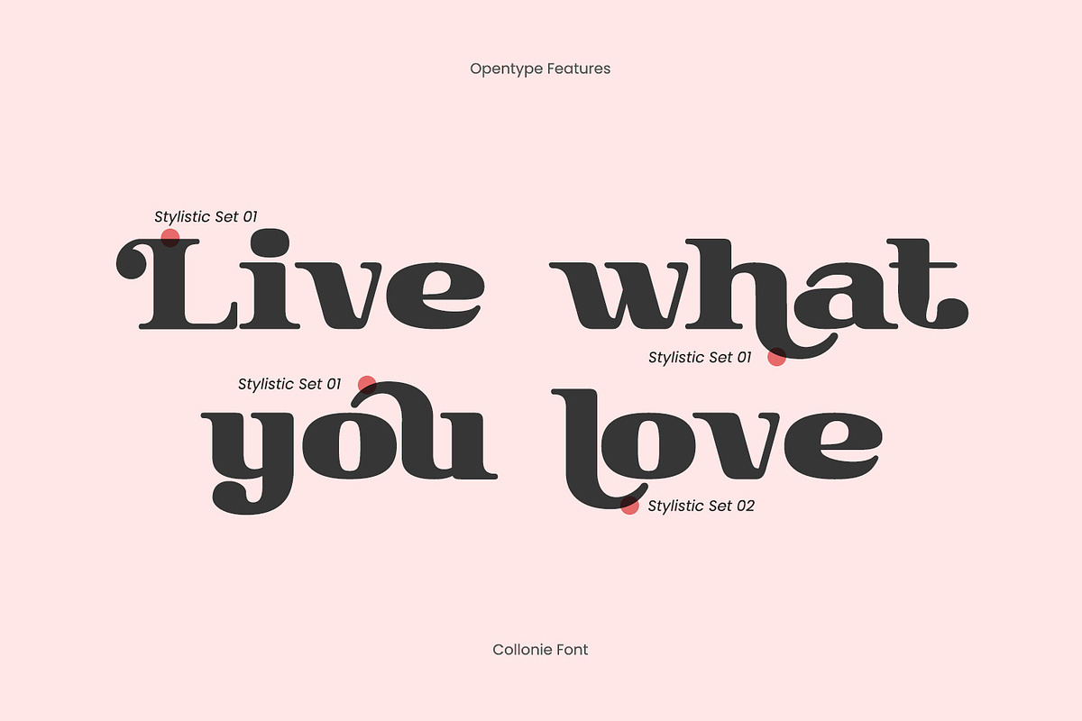 Collonie, a Serif Font by yumnatype (Photo 8 of 10)