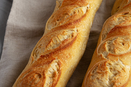 Homemade French Bread Baguette on a gray background, side view., a Food & Drink Photo by LiudmylaChuhunova