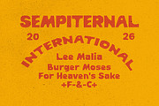 Weird Vault - Display Bold Font, a Handwritten Font by Bale Type (Thumbnail 3 of 9)