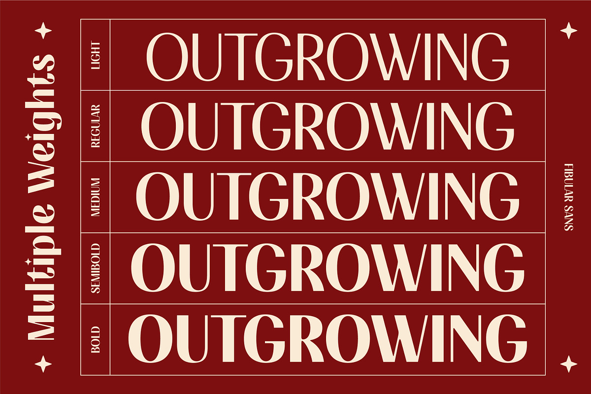FIBULAR SANS - Variable Display Type, a Sans Serif Font by Artflorara (Photo 22 of 23)