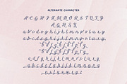 Fresh History - Hand Lettered Script, a Script Font by Bale Type (Thumbnail 8 of 10)