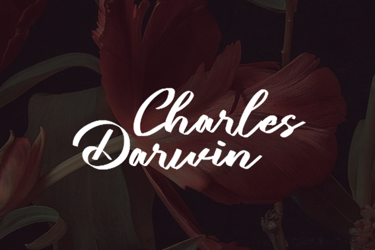 Lubirens, a Script Font by GlottaTypeface (Photo 4 of 8)