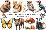 Watercolor Woodland Life Clipart, an Illustration by Craft Nest (Thumbnail 1 of 6)