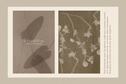 Silent Herbarium Botanical Textures, a Background Graphic by DigARTbyHavroshka (Thumbnail 4 of 11)
