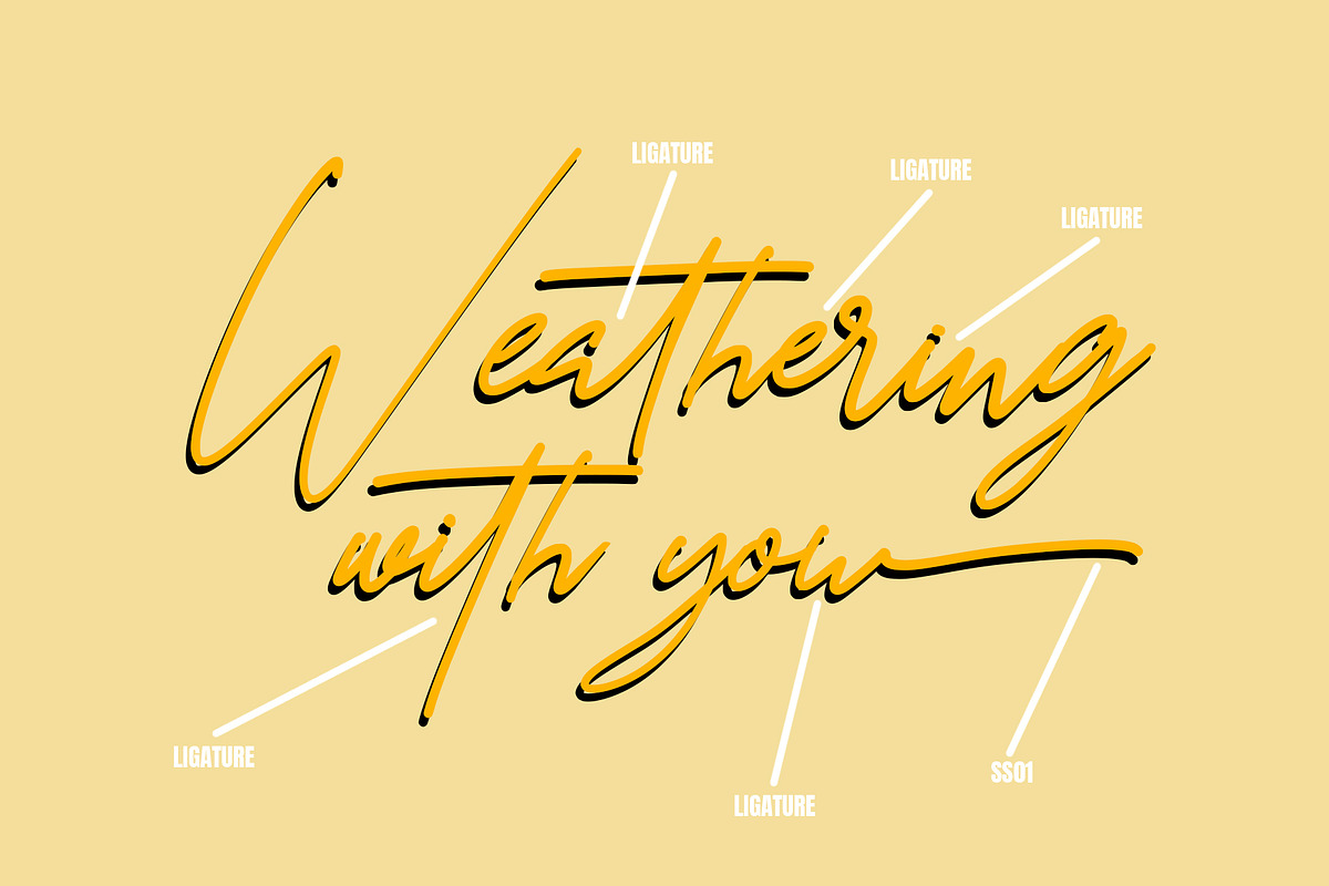 Long Beach | Stylish Signature, a Script Font by Analogous (Photo 9 of 13)